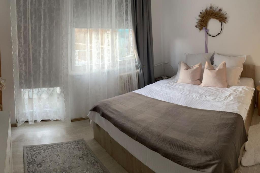 Apartment Musika